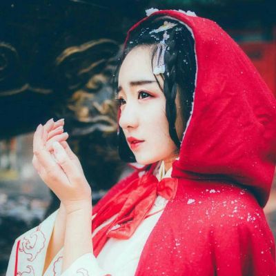 DJ大宝-全中文Electro金牌节奏凤凰传奇刀郎劲爆劲曲专场MUSIC慢摇大碟【千元定制版】